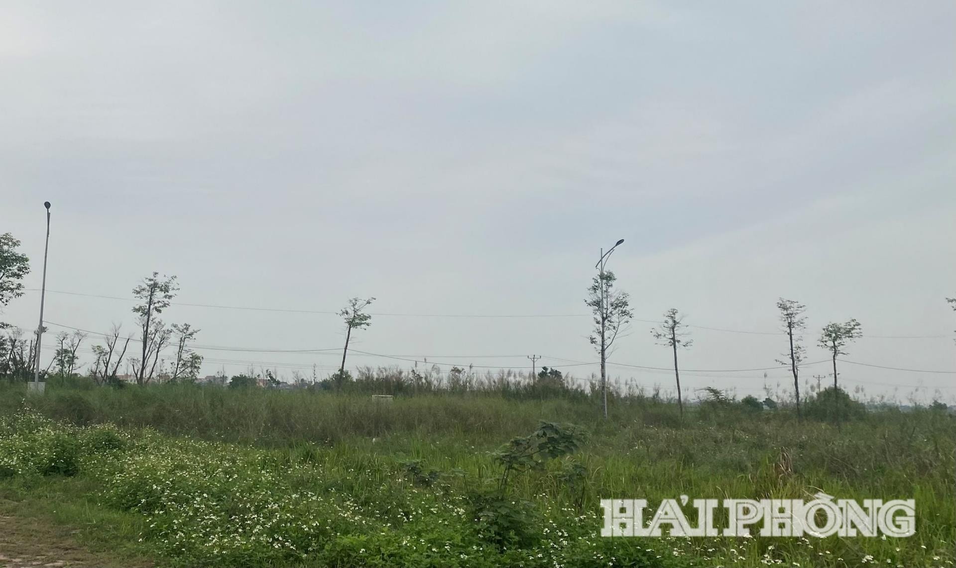 Dự án Đầu tư xây dựng khu dân cư mới xã Đồng Cẩm, huyện Kim Thành sử dụng 444.475 m² đất tại xã Kim Thành.