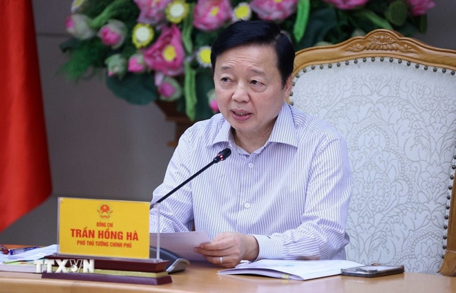 ttxvn-pho-thu-tuong-tran-hong-ha-hop-ve-quy-chuan-khi-thai-xe-oto-1.jpg