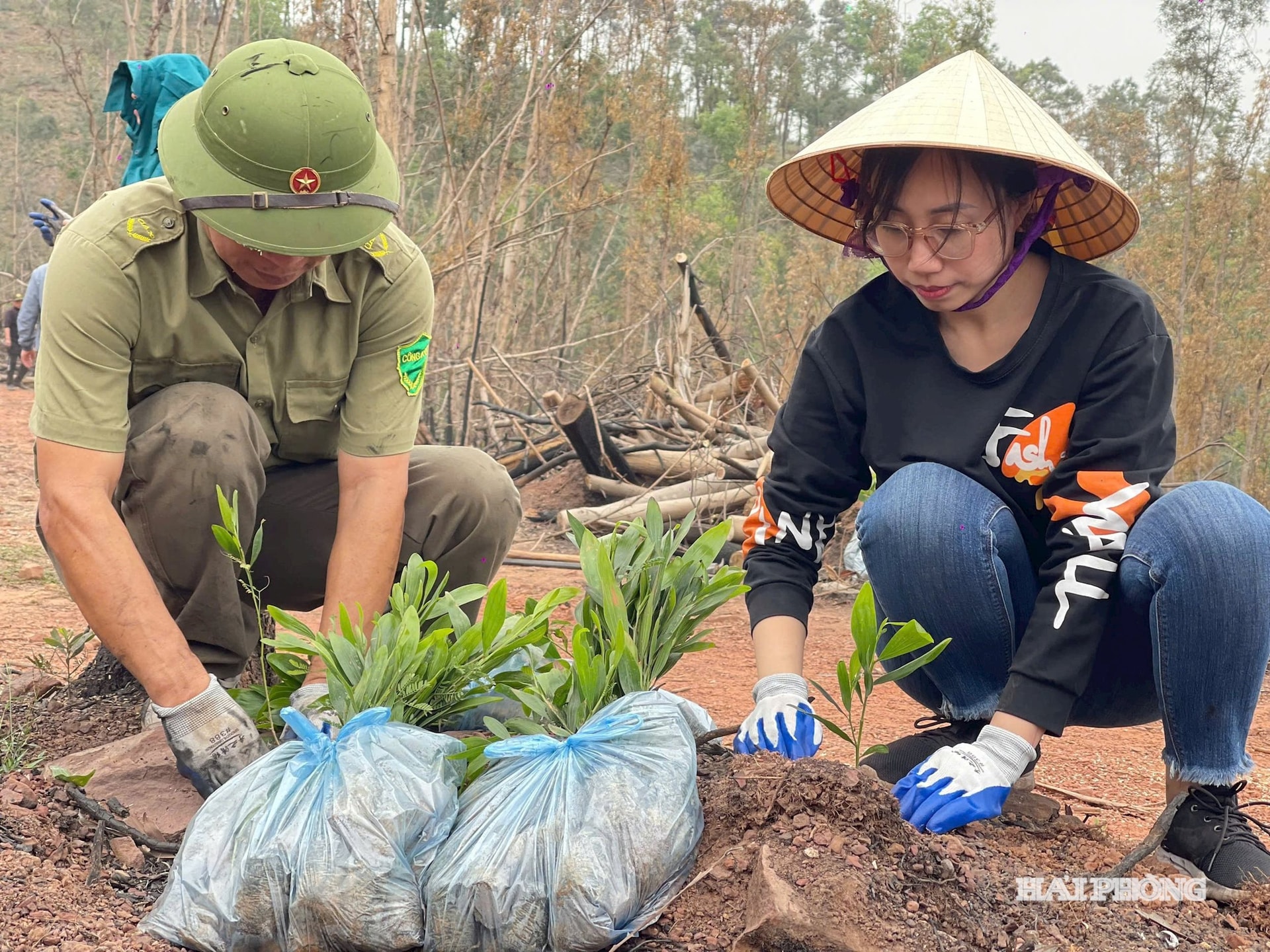 tăiței cu cuțit 2
