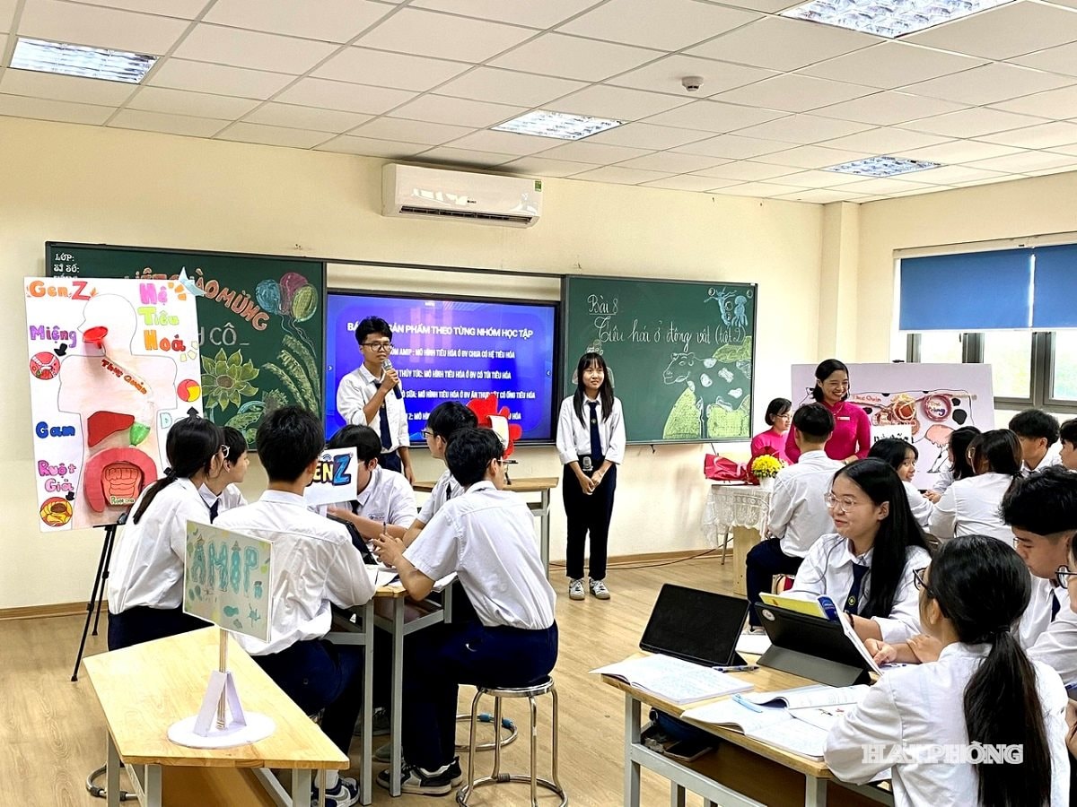 hoc-stem1.jpg