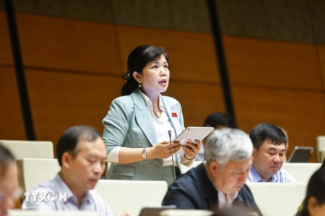 ttxvn-quoc-hoi-thao-luan-ve-du-an-luat-vien-chuc-sua-doi-8404852.jpg