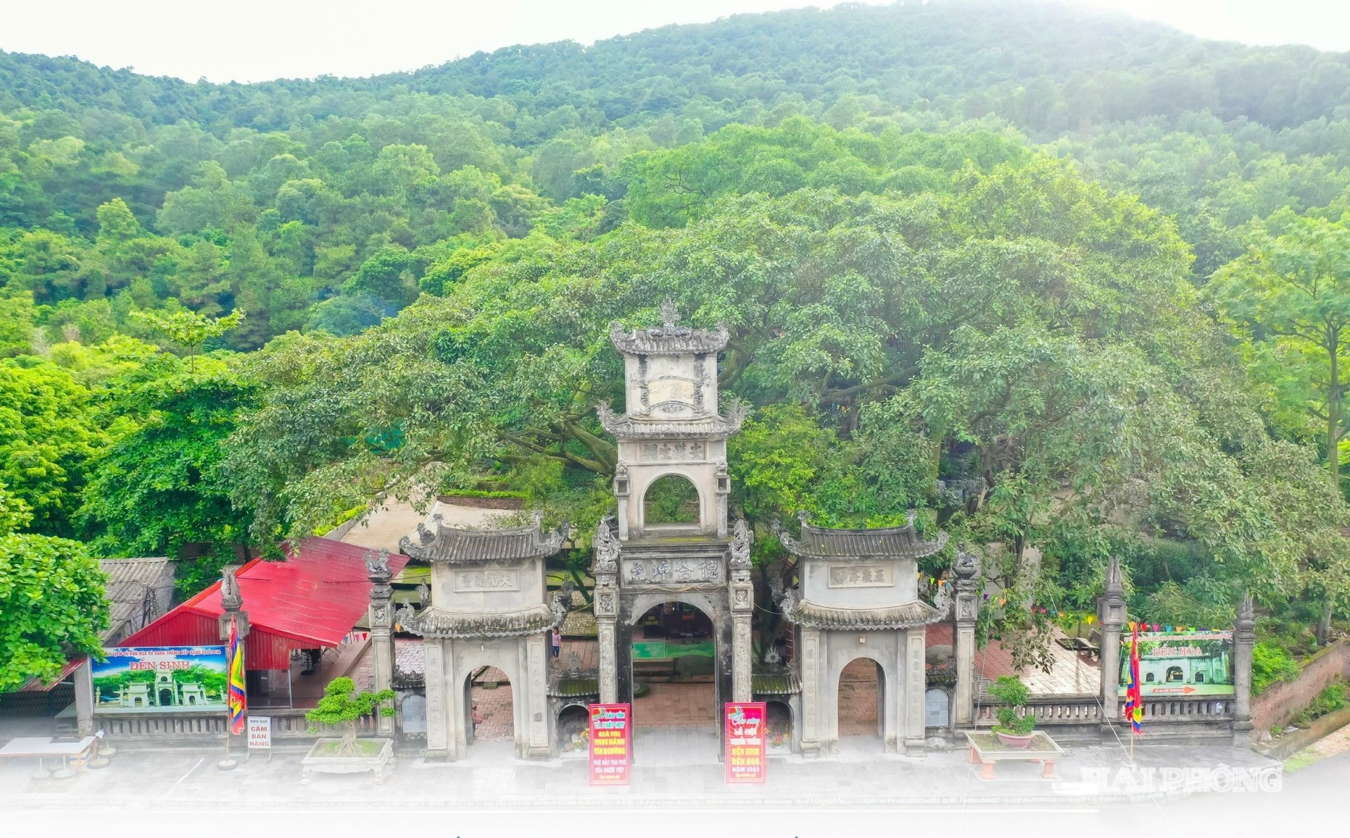 den-sinh.jpg