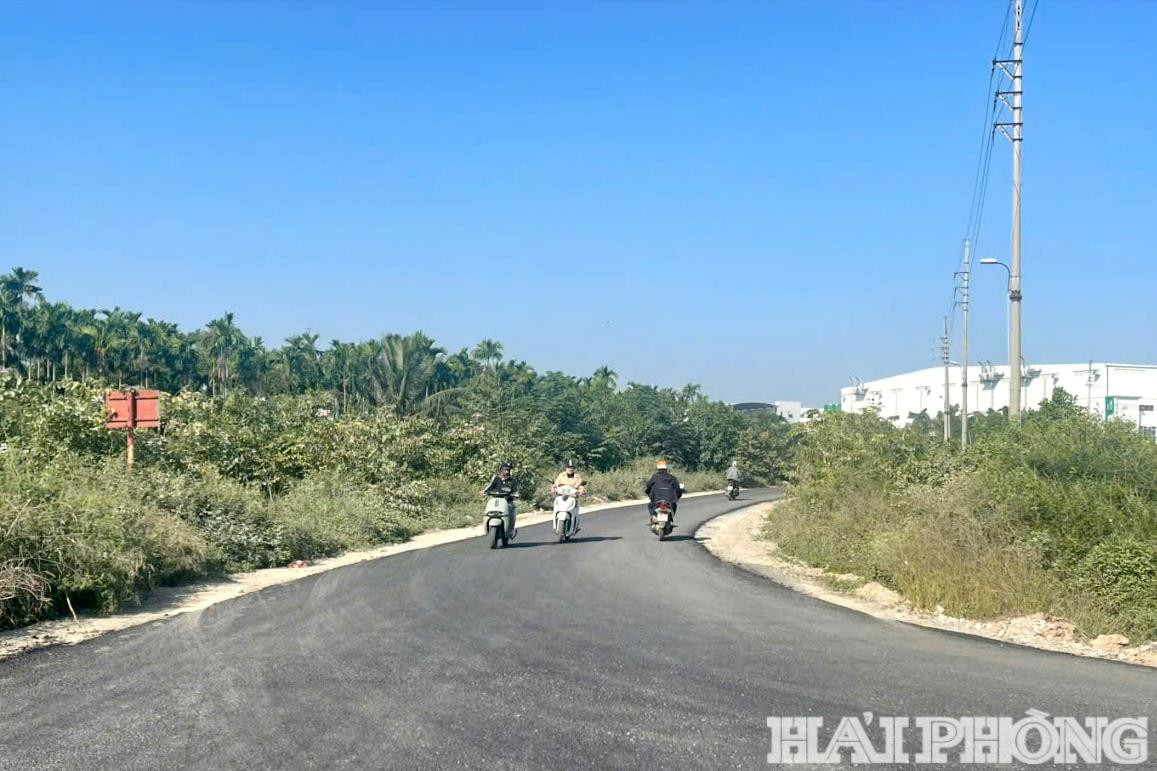 nam-trieu-1-(1).jpg