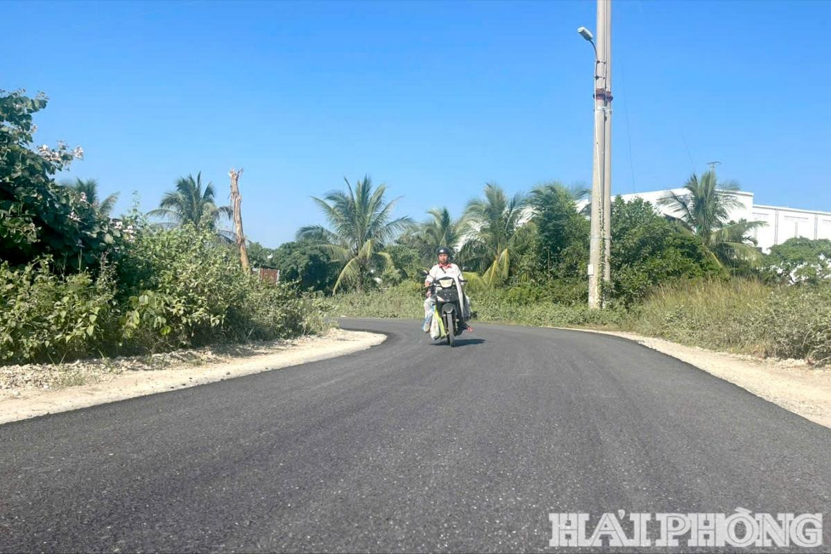 nam-trieu-6-(1).jpg