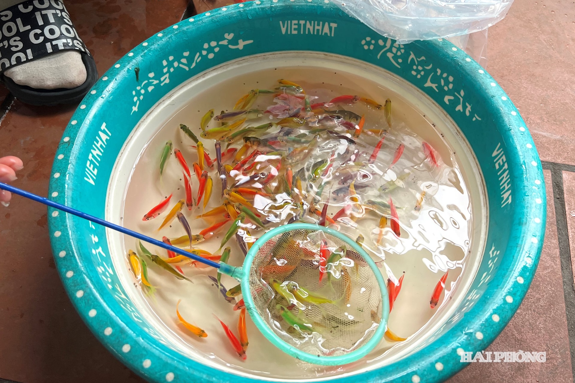 Thien Huong 2 fisksoppa