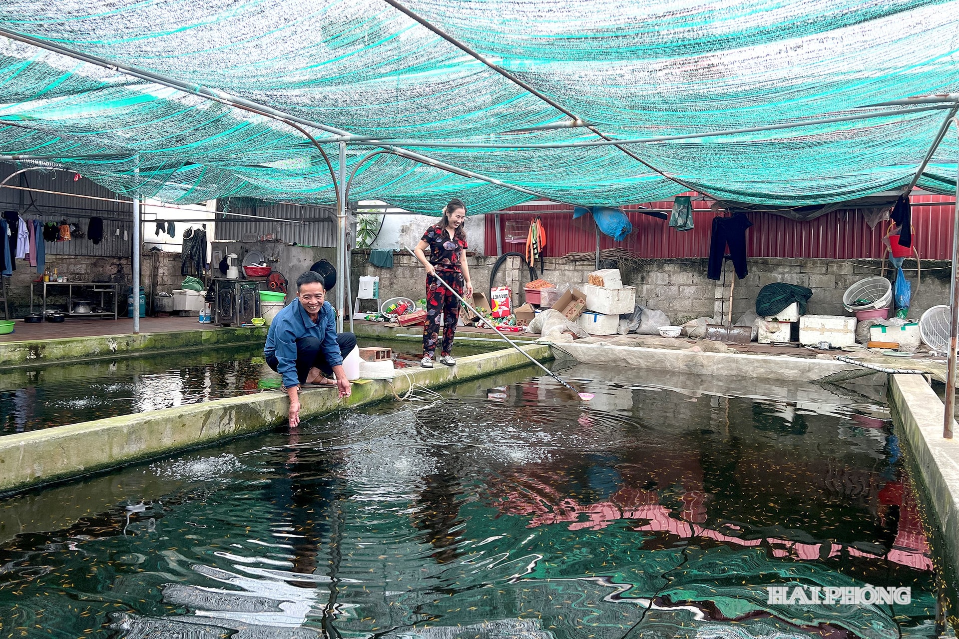 Tidigare riktade sig aktörerna inom prydnadsfisk främst till de 