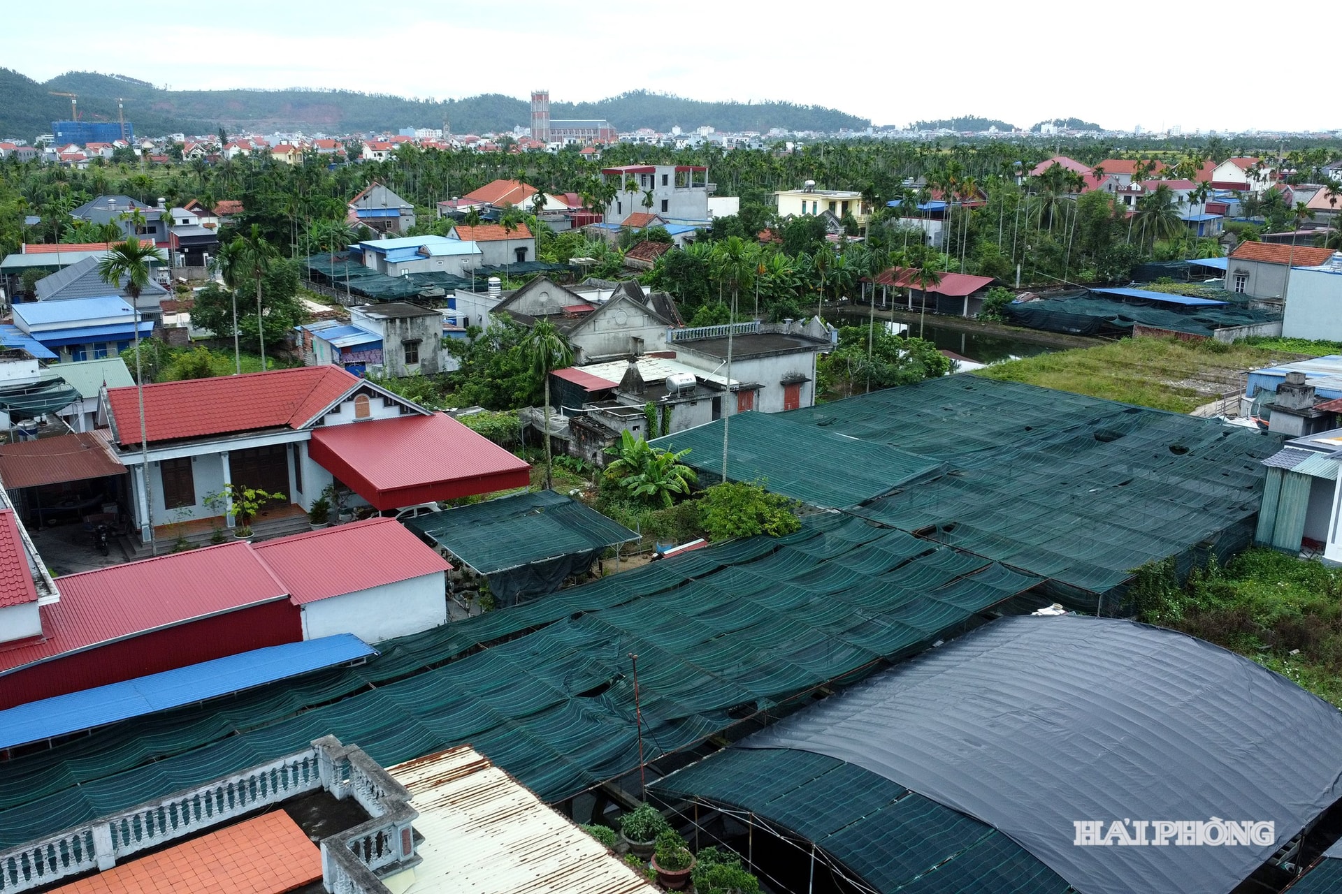 Thien Huong9 fisksoppa