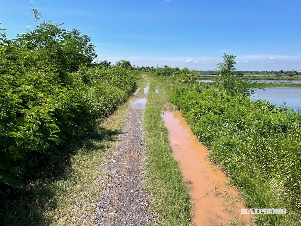 Một đoạn đê tả biển 3 sẽ được lắp đặt biển báo công trình đê điều, lắp dựng biển báo giới hạn tải trọng trên đê.