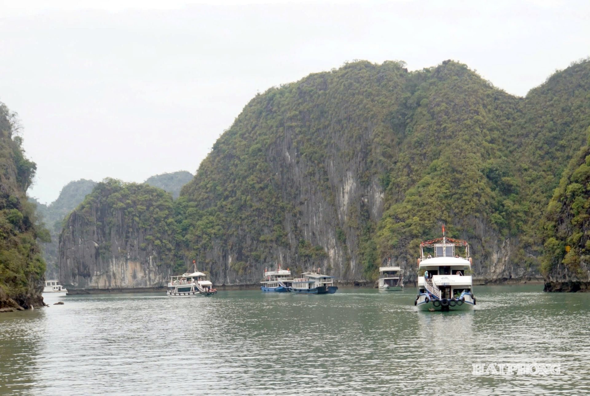 lien-ket-ha-long-cat-ba.jpg