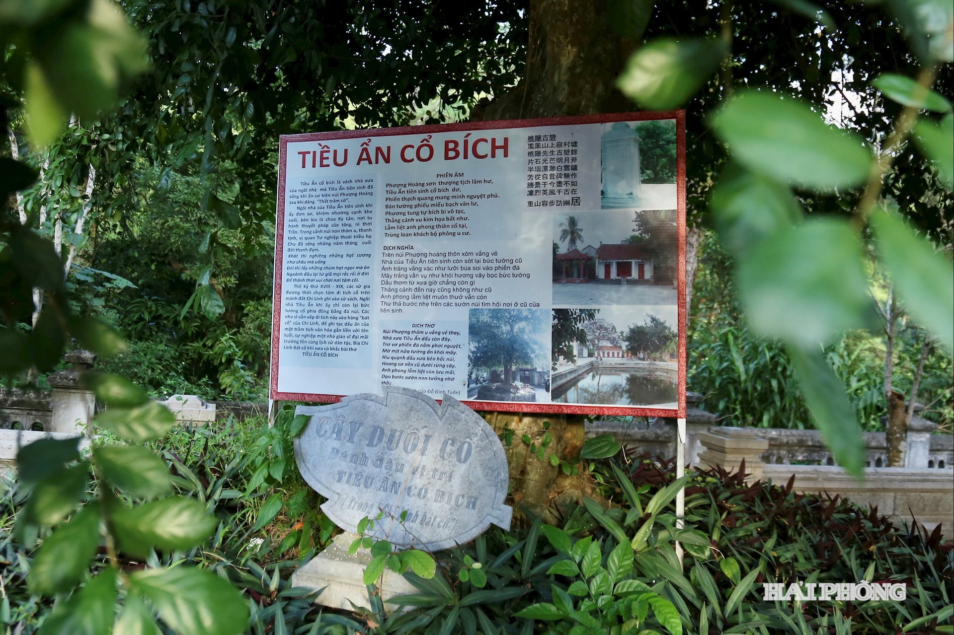 Thầy Chu Văn An hiệu là Tiều Ẩn, tự là Linh Triệt, thụy là Văn Trinh. Một lần, thầy Chu Văn An đến núi Phượng Hoàng thấy rừng thông bát ngát, suối trong, đá núi lô xô, ông liền dựng nhà dạy học, làm thuốc chữa bệnh, làm thơ, viết sách, tiêu dao cùng năm tháng và lấy hiệu là Tiều Ẩn.