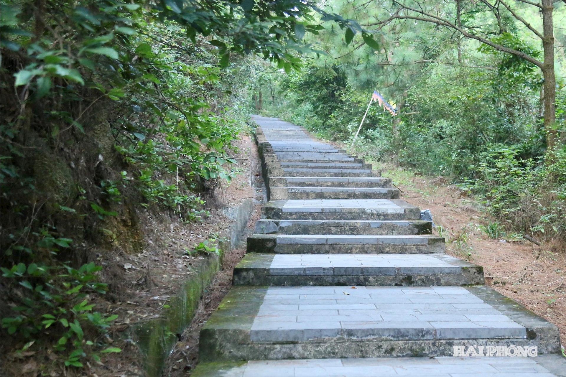 Phía sau đền khoảng 600 m là khu lăng mộ thầy Chu Văn An. Theo truyền thuyết, vị trí đặt mộ thầy chính là đầu của chim Phượng, được hiểu là đỉnh cao của công lý và đức hạnh. Cách mộ khoảng 50 m về phía ây có một giếng nhỏ, du khách đến viếng mộ thầy, mỗi người đều muốn uống một ngụm nước từ giếng để khí thiêng sông núi nơi đây ngấm vào cơ thể mình. Trong ảnh: Đường lên khu lăng mộ thầy Chu Văn An.