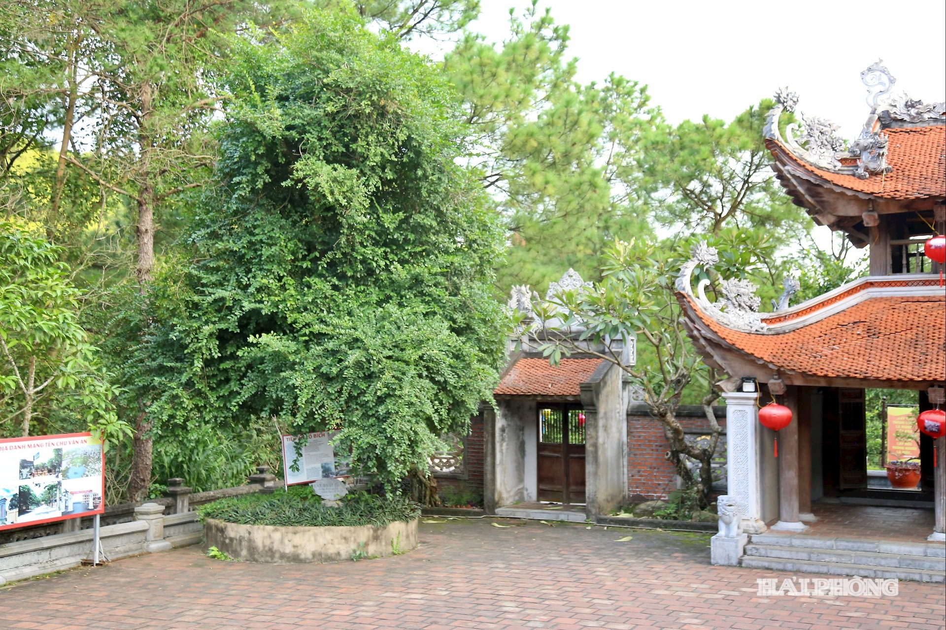 Ngay phía cửa chính vào đền là cây duối cổ nằm cạnh vách nhà xưa, nơi thầy giáo Chu Văn An ẩn cư trên núi Phượng Hoàng.