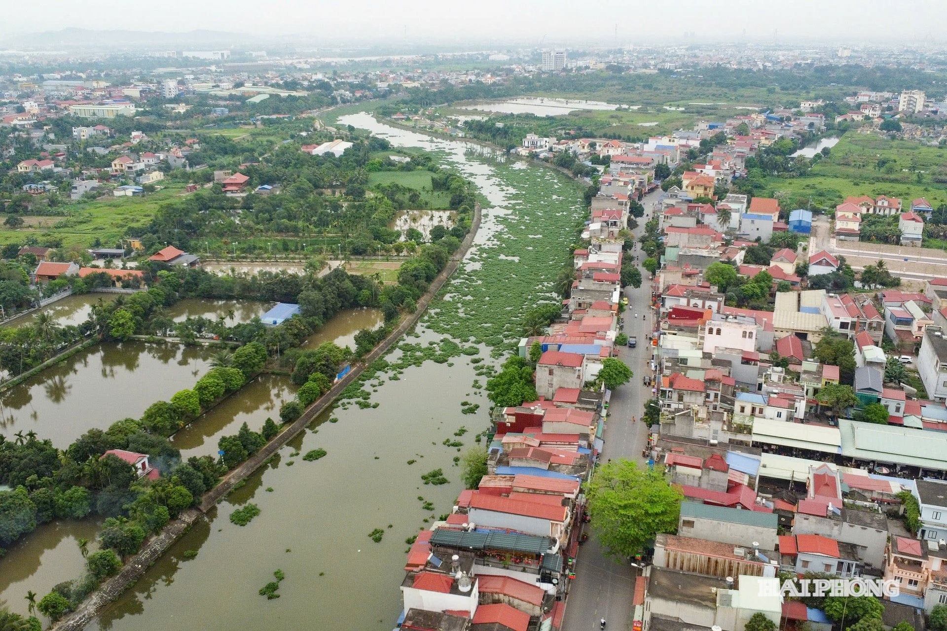 vanh-dai-3.jpg