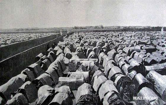 leu-chong.jpg