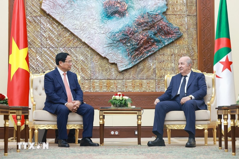 Thủ tướng Phạm Minh Chính hội kiến Tổng thống Algeria Abdelmadjid Tebboune. (Ảnh: Dương Giang/TTXVN)