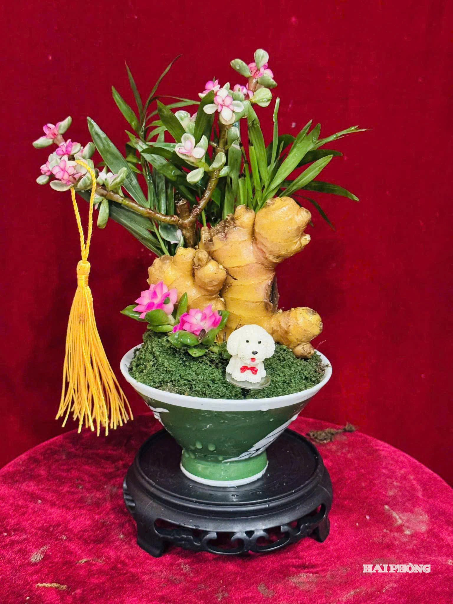 gung-bonsai 1