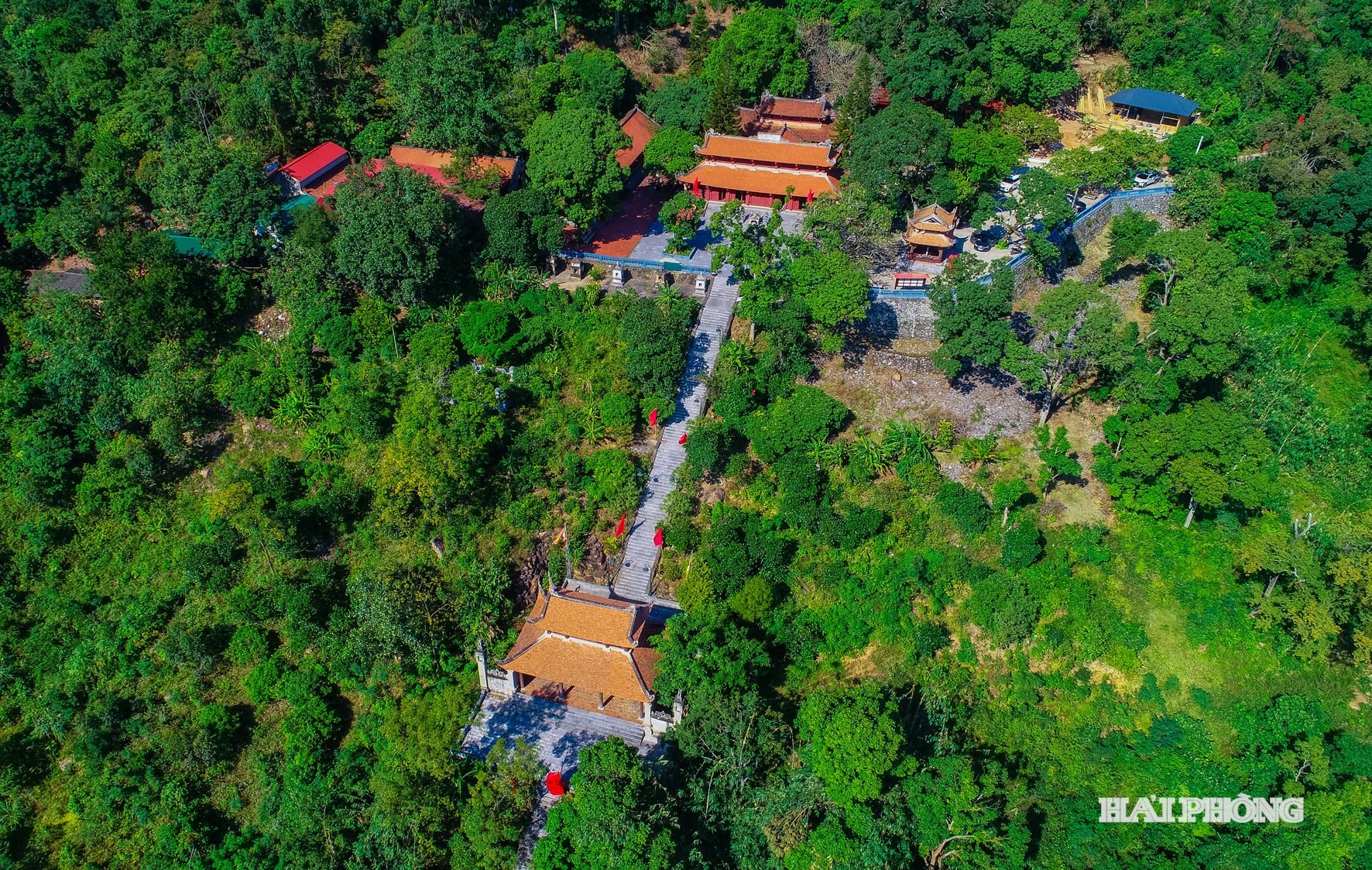 rung-phong-1.jpg