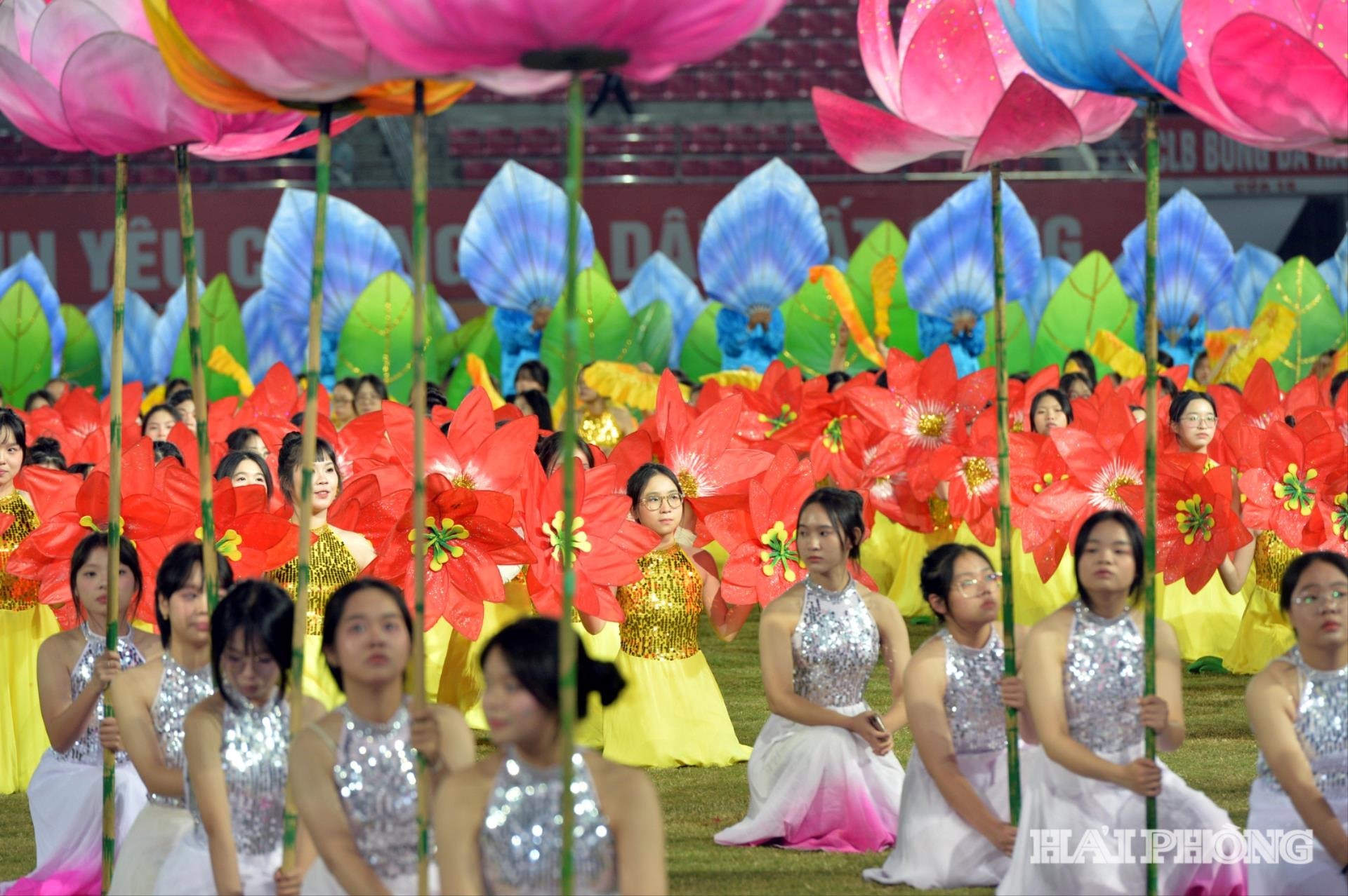 dh-tdtt-tp11-(1).jpg
