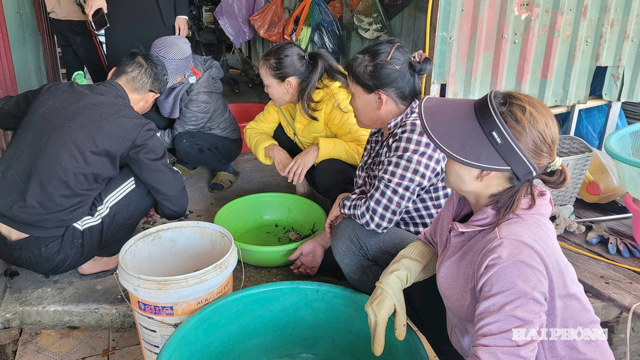 xom-chai-4.jpg