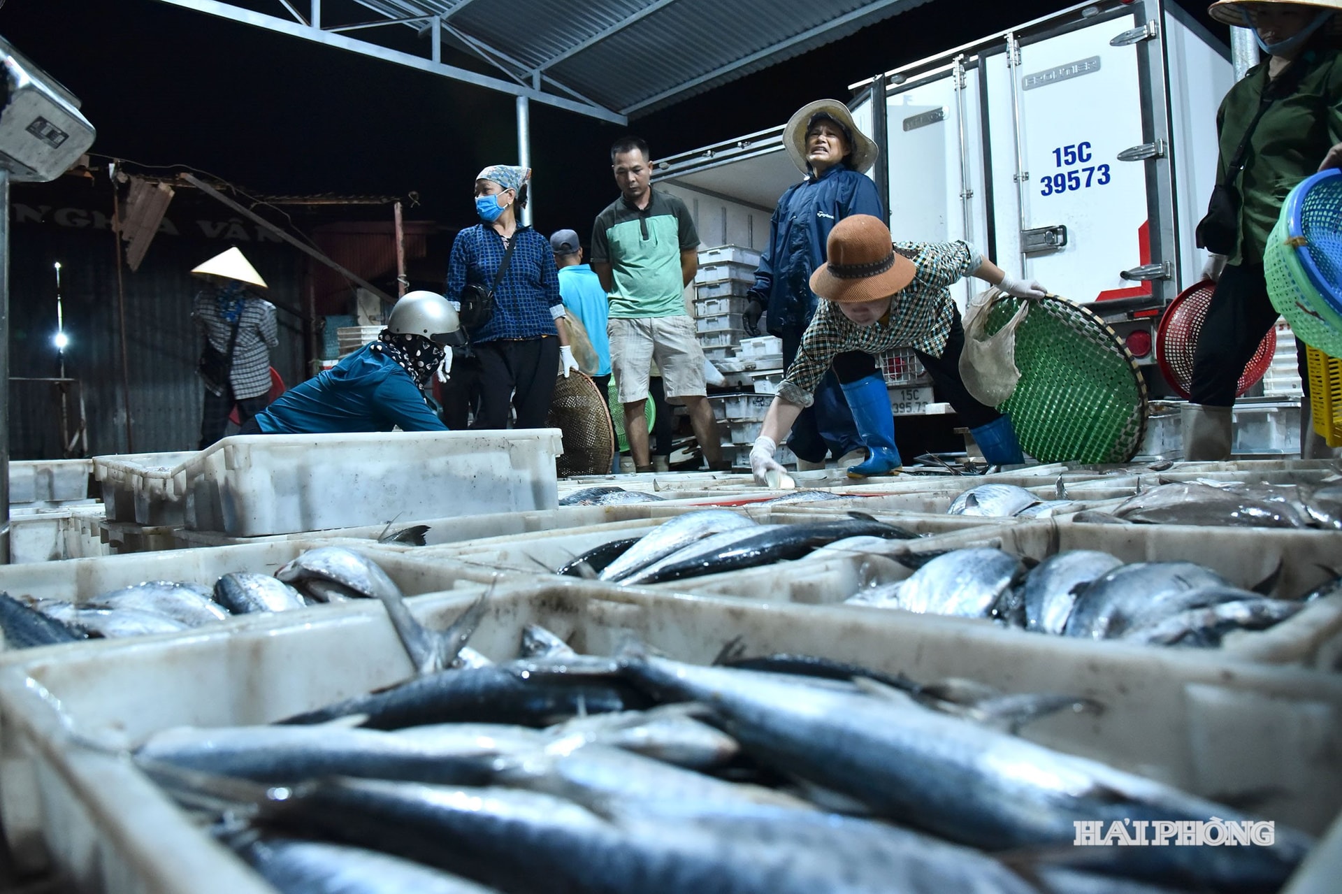 Birçok balıkçı teknesi büyük balık ve kalamar avlıyor ve tekneler limana döndüğünde, tüccarlar ve restoranlar rezervasyonlarını çoktan yapmış oluyor.