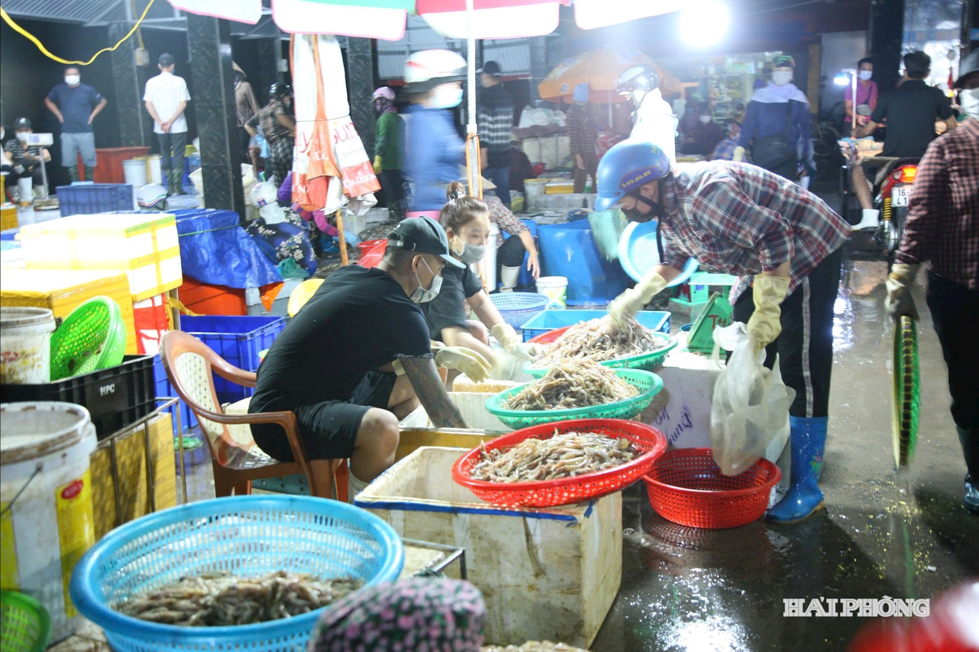 Ngoc Hai balık pazarındaki hareketli deniz ürünleri ticareti ortamı.