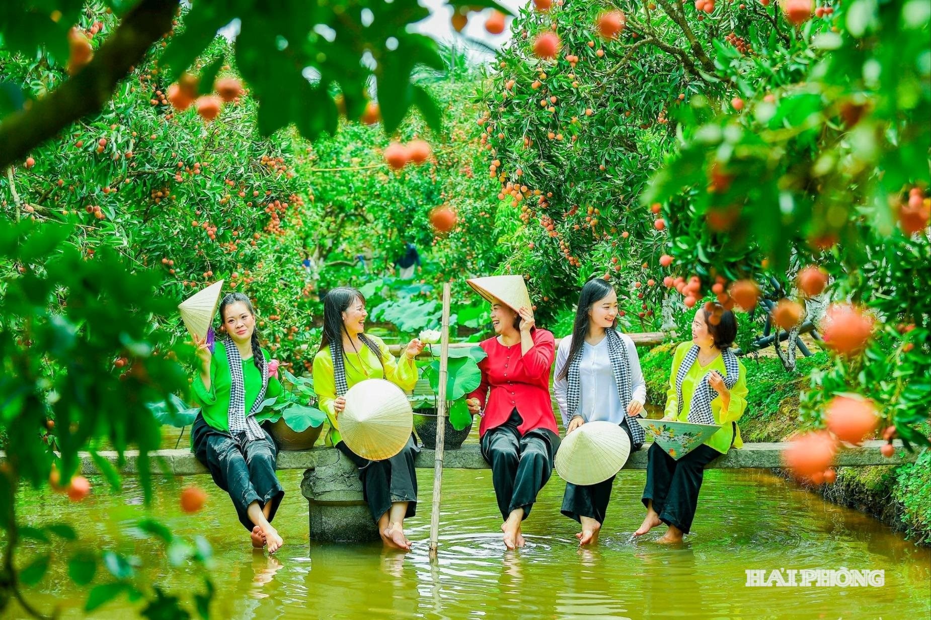 Du khách về trải nghiệm mùa vải chín tại tiểu khu du lịch Đồng Mẩn (xã Thanh Hà). Ảnh THÀNH CHUNG