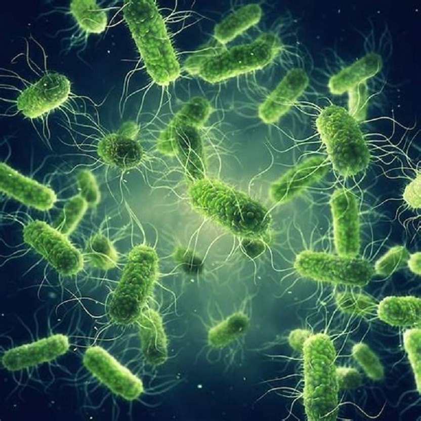 virus-ta(1).jpeg