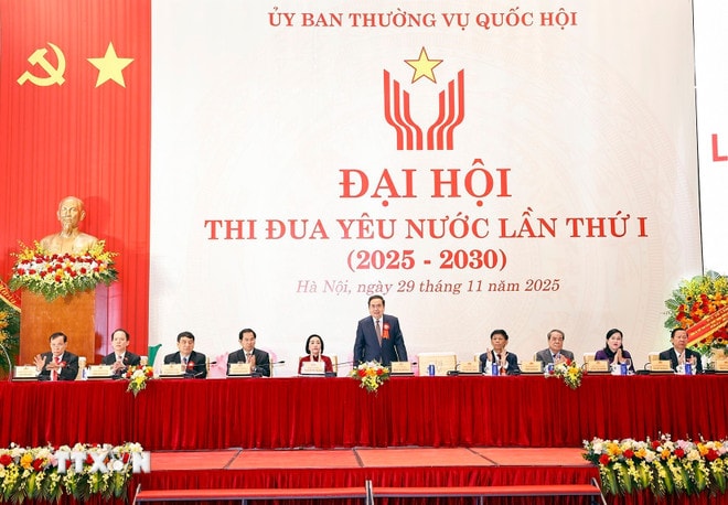 ttxvn-dai-hoi-thi-dua-yeu-nuoc-uy-ban-thuong-vu-quoc-lan-thu-nhat-6.jpg