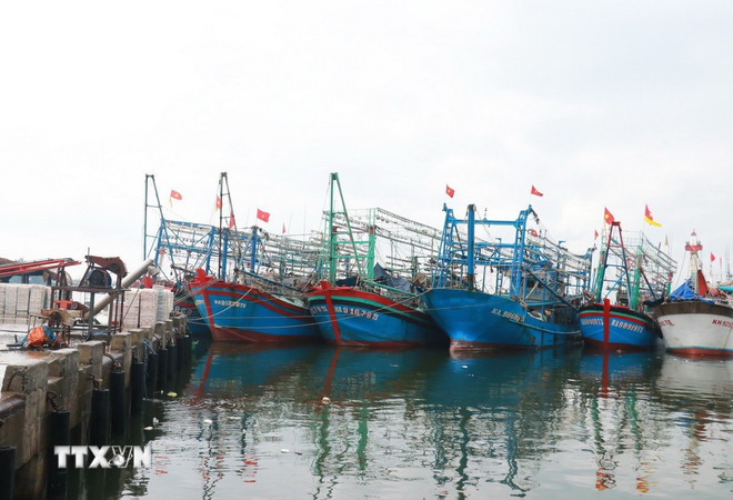 Tàu cá neo đậu tránh bão. (Ảnh minh họa. Nguồn: TTXVN) ttxvn-bao-so-1.jpg