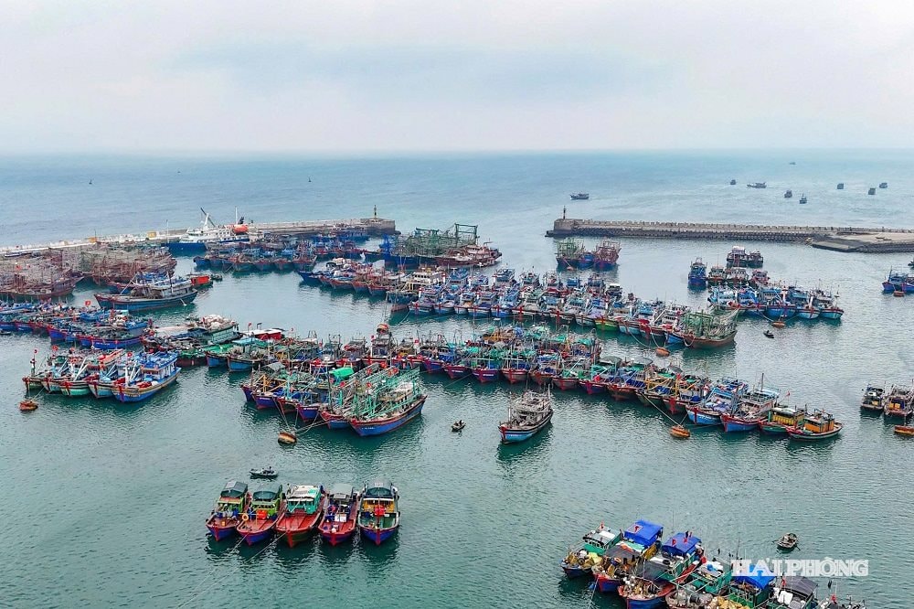 Tàu, thuyền của ngư dân Hải Phòng tại Cảng cá Bạch Long Vi.