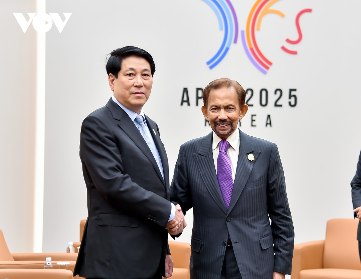 hôm nay, quốc vương brunei thăm cấp nhà nước tới việt nam hình ảnh 1 hom nay, quoc vuong brunei tham cap nha nuoc toi viet nam hinh anh 1
