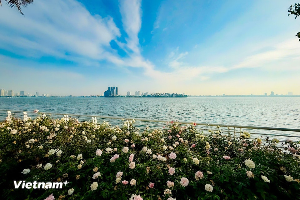 Còn gì tuyệt vời hơn khi được cùng với bạn bè, người thân dạo quanh Hồ Tây tận hưởng làn gió mát rượi, chiêm ngưỡng cảnh sắc thiên nhiên rực rỡ và quyến rũ. (Ảnh: Trần Hương Sơn/Vietnam+)