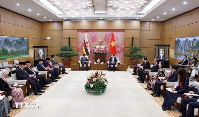 ttxvn-tuyen-bo-chung-viet-nam-brunei-02-5.jpg