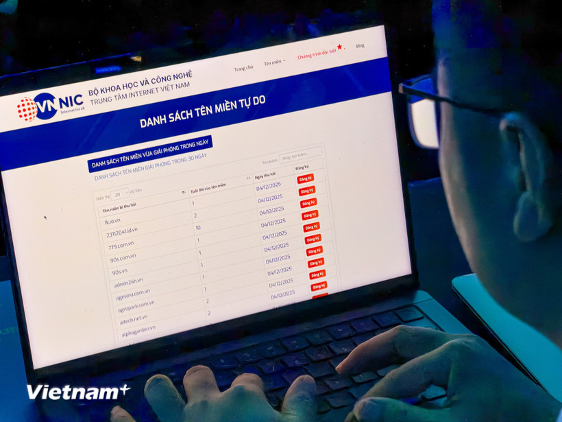 Trên trang tenmien.vn, danh sách tên miền hủy được hiển thị dưới dạng bảng tra cứu trực quan. (Ảnh: Minh Sơn/Vietnam+)