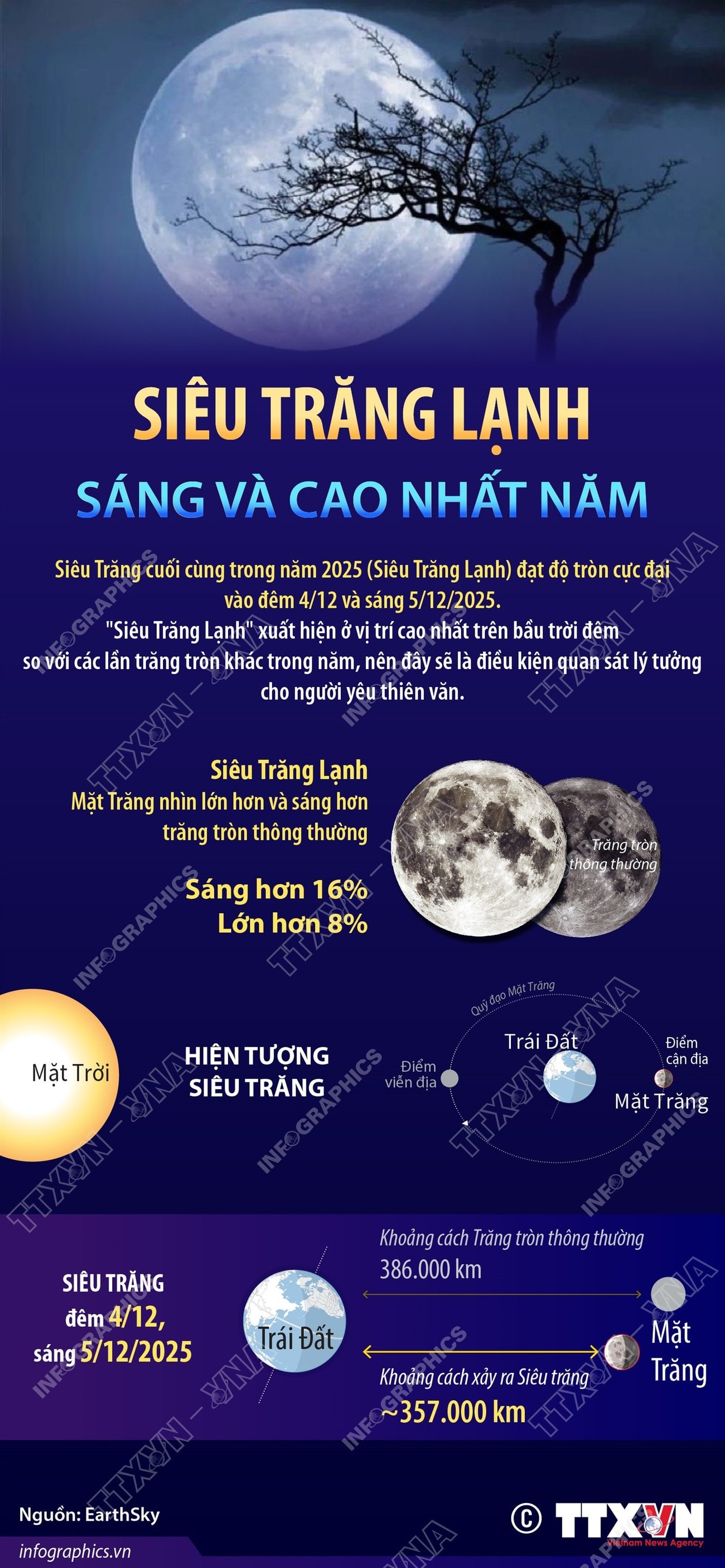 2025-12-4-trang-lanh-ruby.jpg
