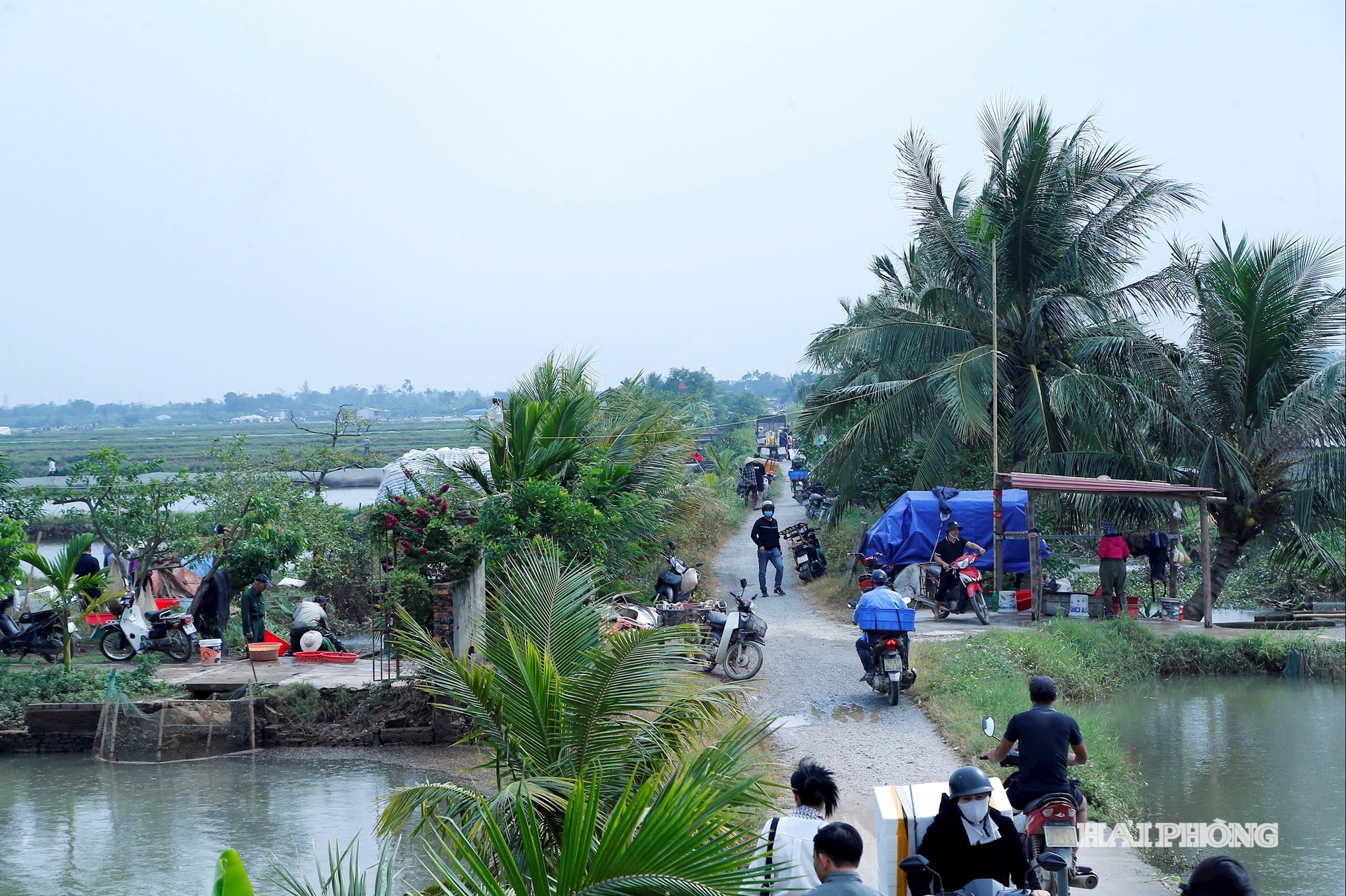 Od časného rána se silnice od hráze řeky Luoc hemží lidmi a obchodníky, kteří sbírají a kupují žížaly ulovené z farem na jejich chov.