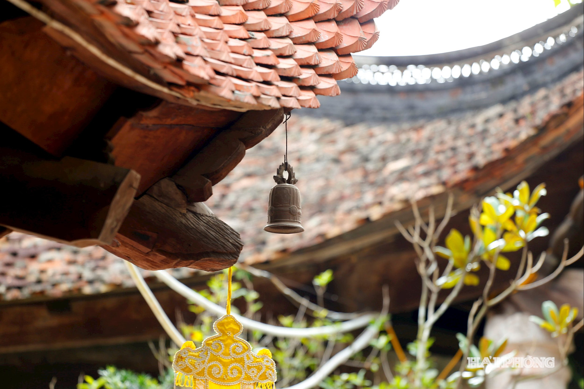 -vinh nghiem-20