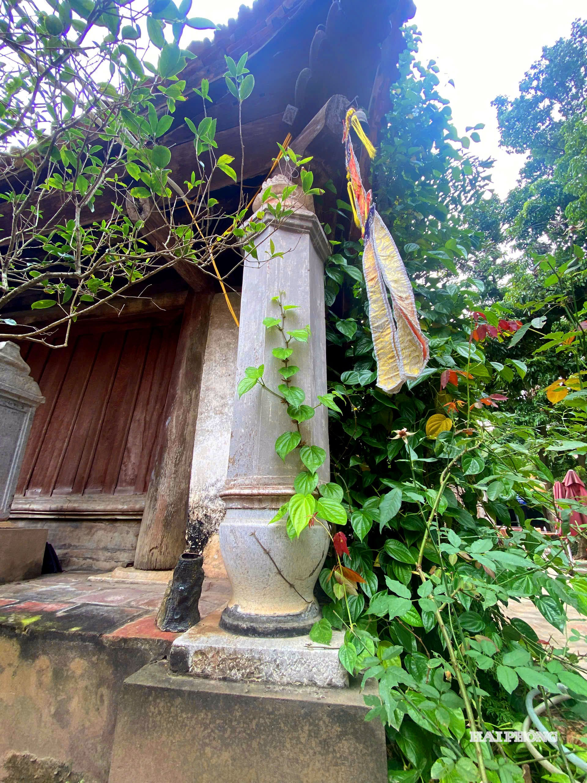 -vinh nghiem-22