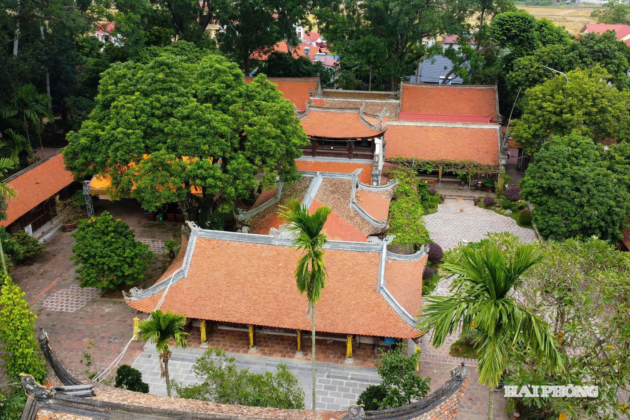 vinh-nghiem-3.jpg