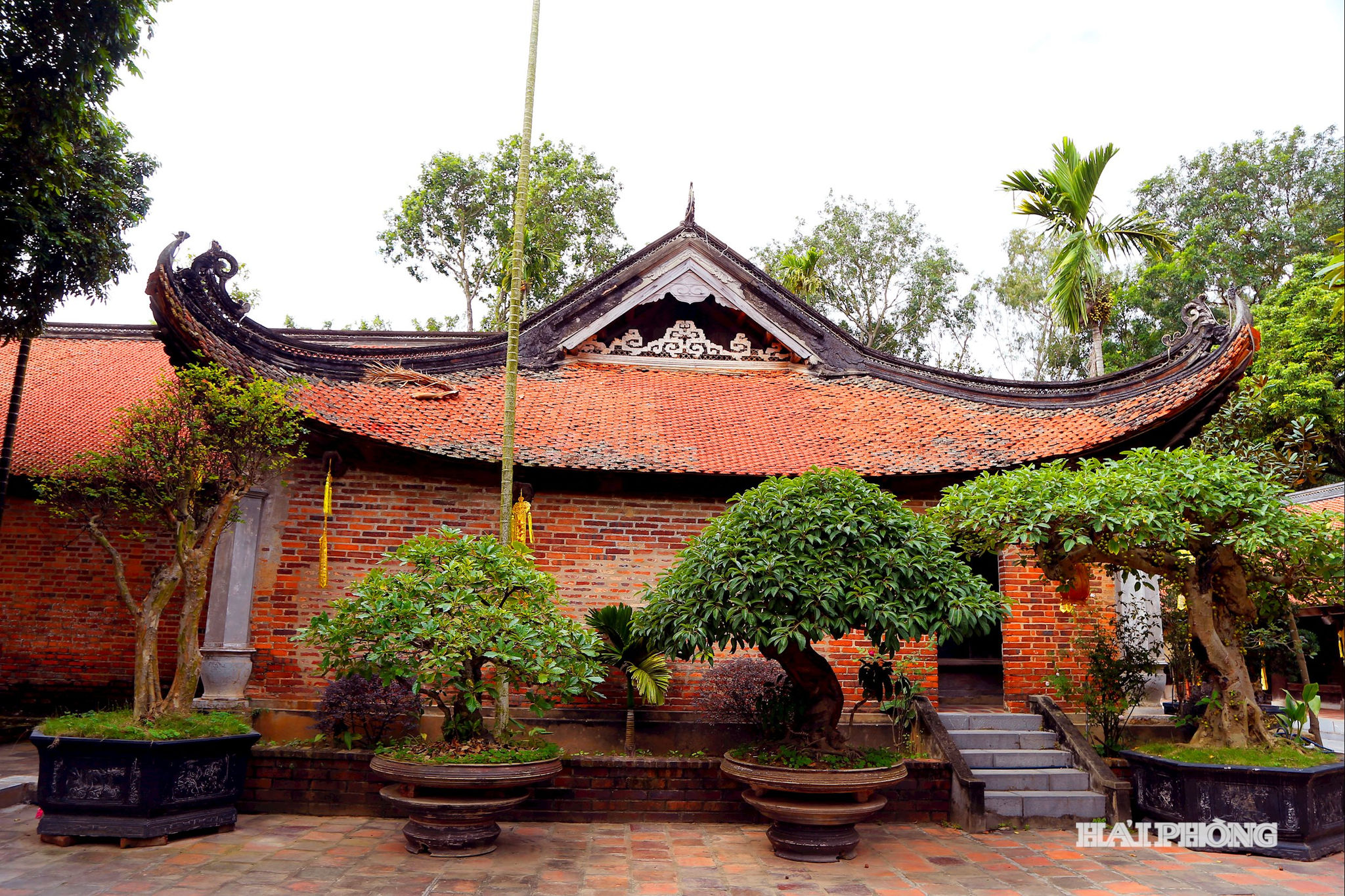 -vĩnh nghiem-5
