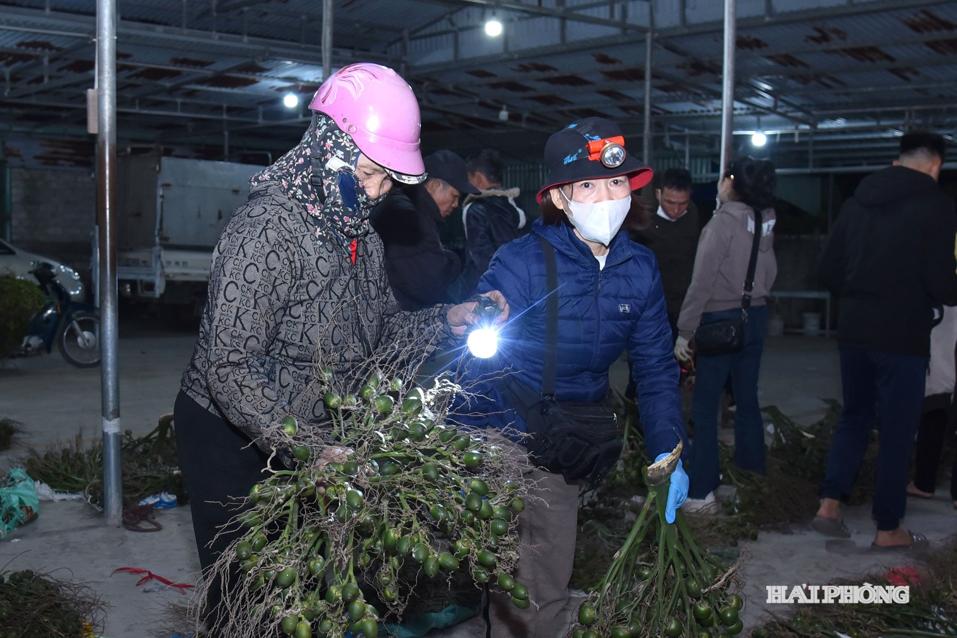 pentru întrebarea 12