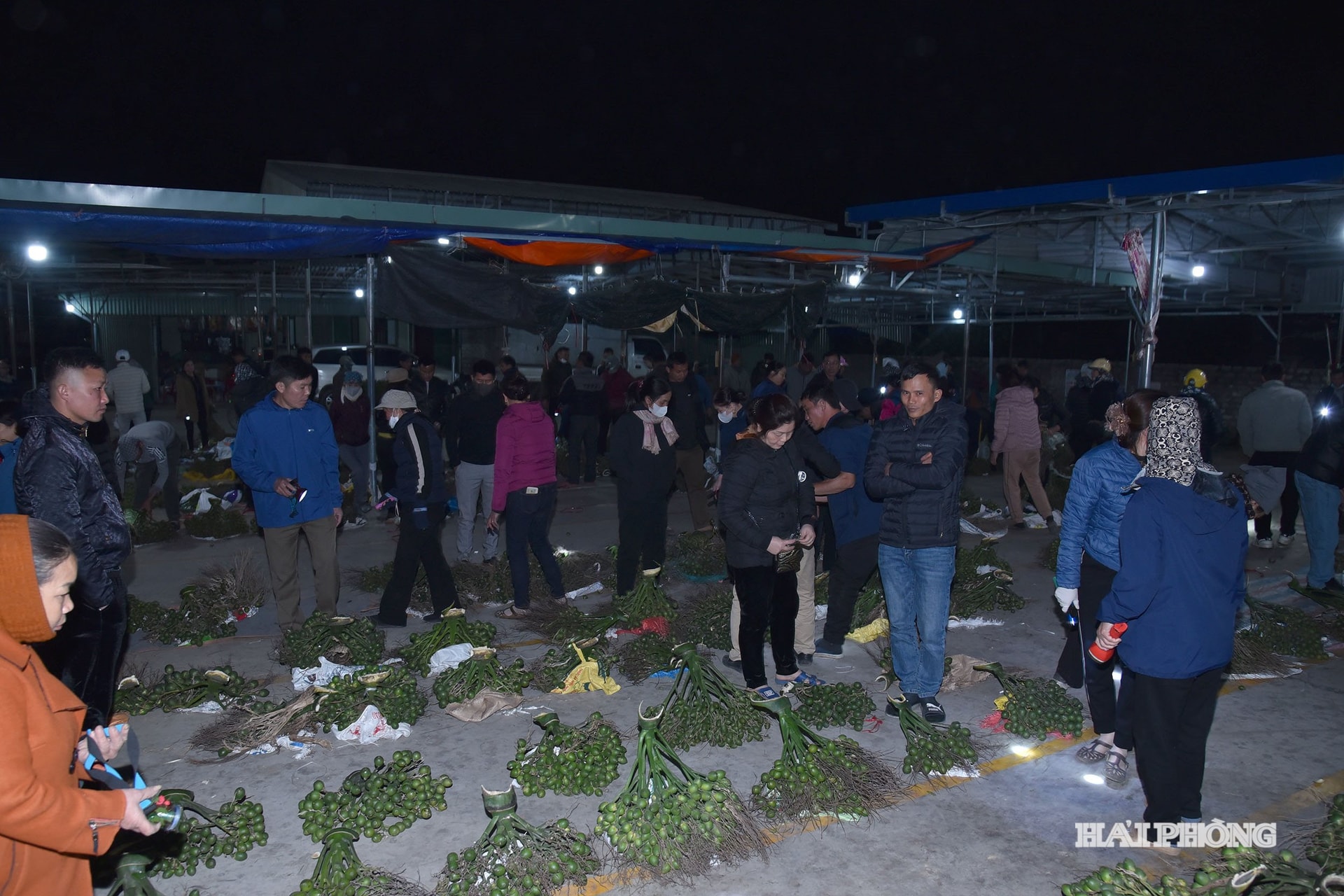 pentru întrebarea 17