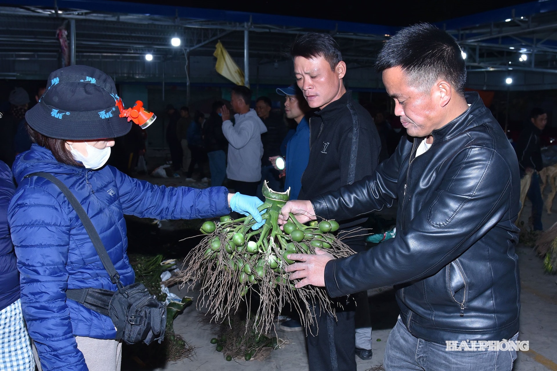 pentru întrebarea 20