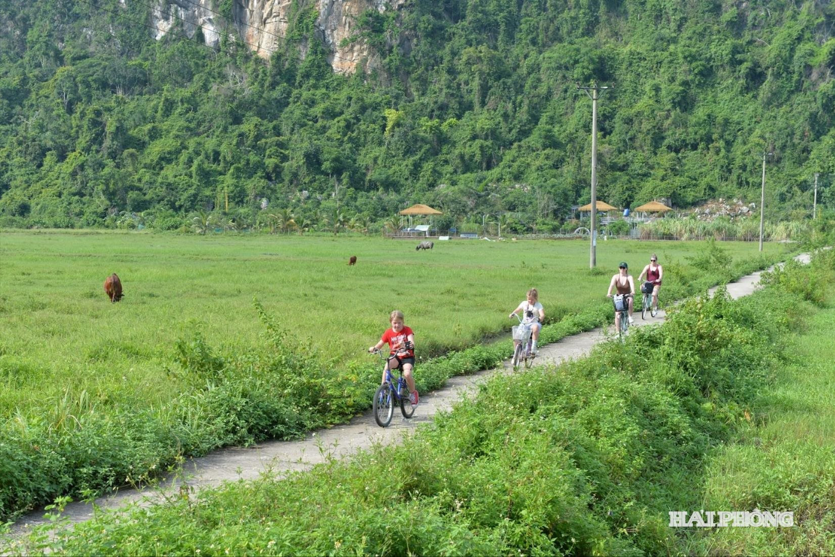 du-khach-viet-hai.jpg