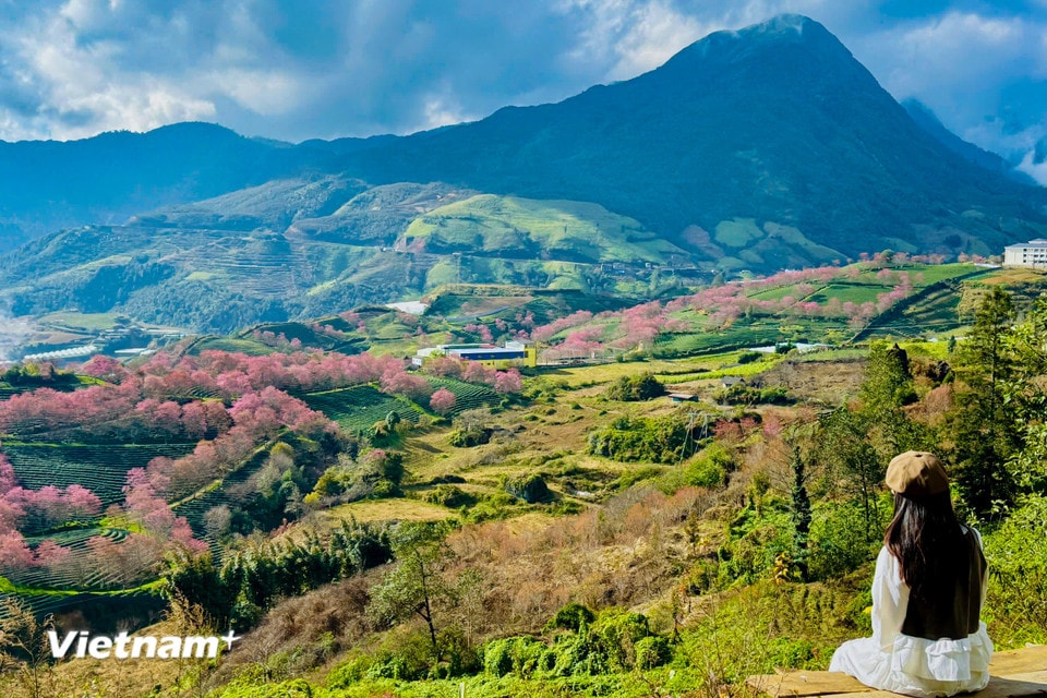 Đi Sapa vào mùa tháng 12 là hành trình đi tìm những khoảnh khắc diệu kỳ của thiên nhiên. (Ảnh: Trần Hương Sơn/Vietnam+)