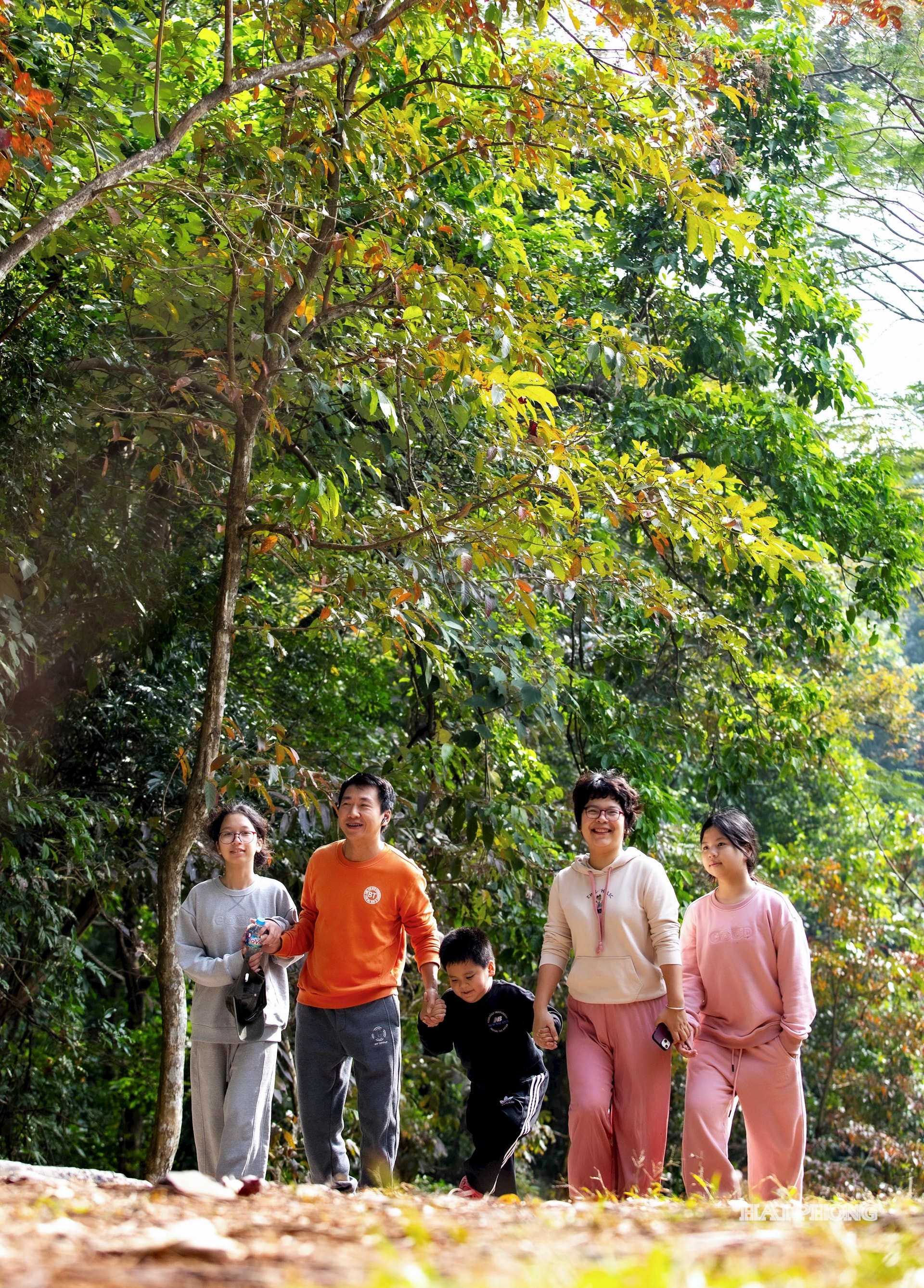 phong-thanh-mai-5.jpg