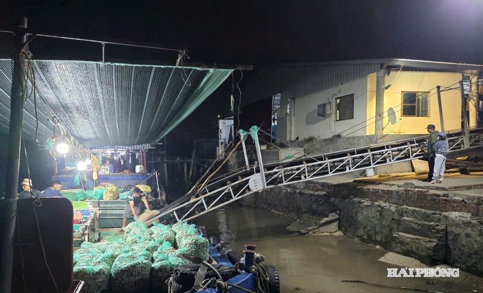 Số ngao chuẩn bị thả trái phép được đưa lên bờ