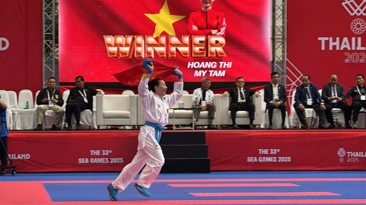 karate-viet-nam.png