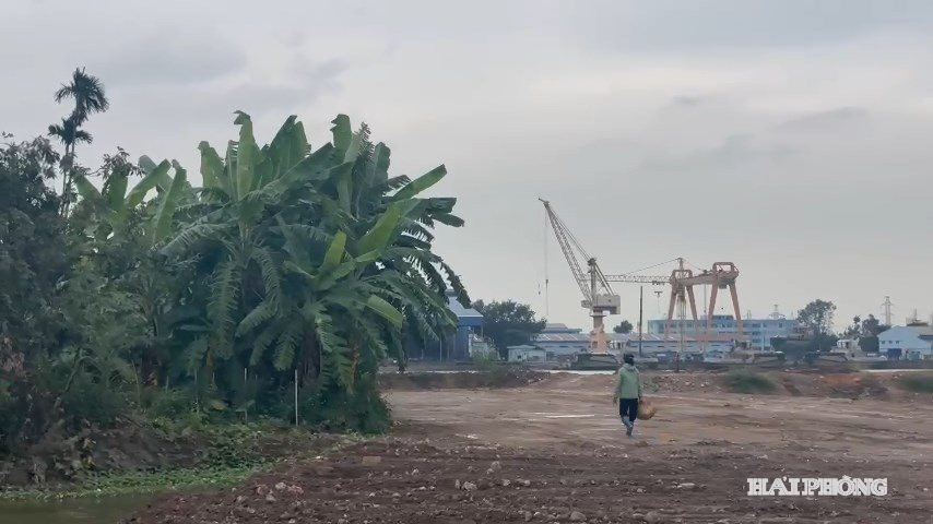 ngo di chung 1