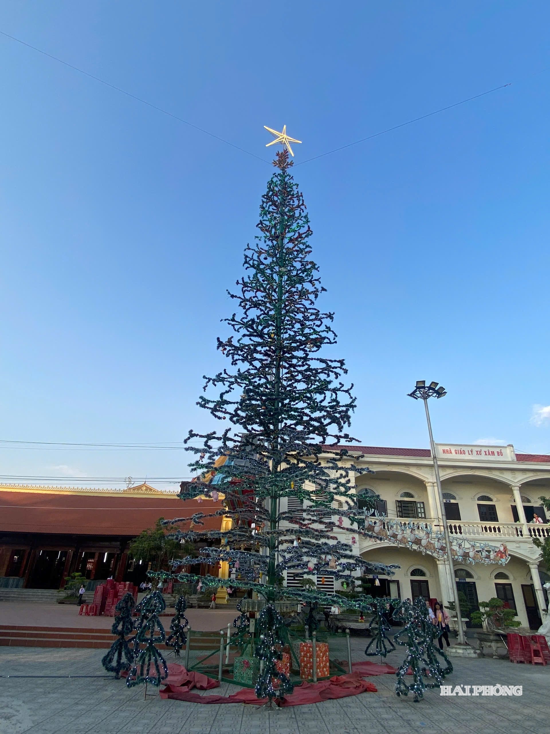 Cây thông Noel được trưng bày tại sân nhà thờ giáo xứ Xâm Bồ.